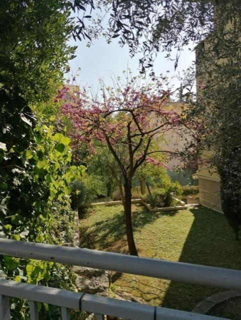 Villa Soraya , Quiet Location With Big Garden Near Beach And Old Town Of 尼斯 外观 照片