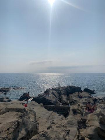 Villa Soraya , Quiet Location With Big Garden Near Beach And Old Town Of 尼斯 外观 照片