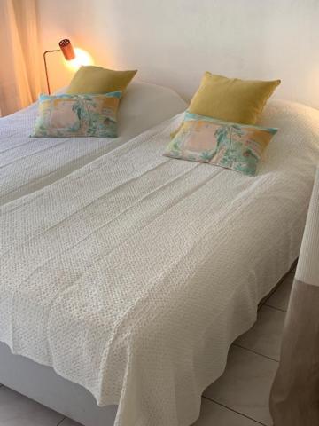 Villa Soraya , Quiet Location With Big Garden Near Beach And Old Town Of 尼斯 外观 照片